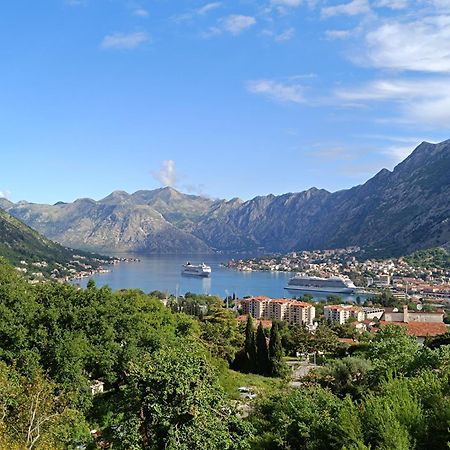 Radgost Kotor Apartments 외부 사진