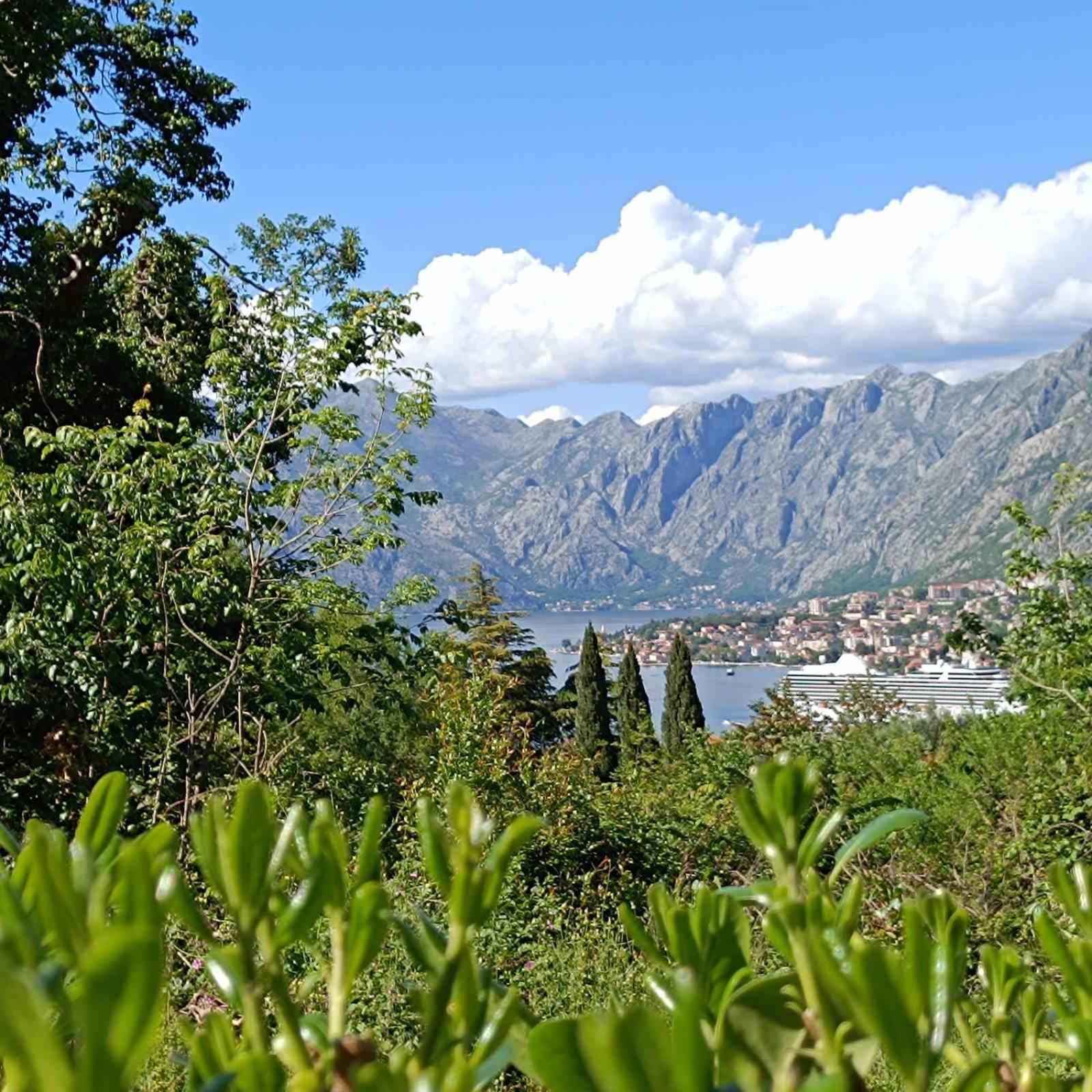 Radgost Kotor Apartments 외부 사진