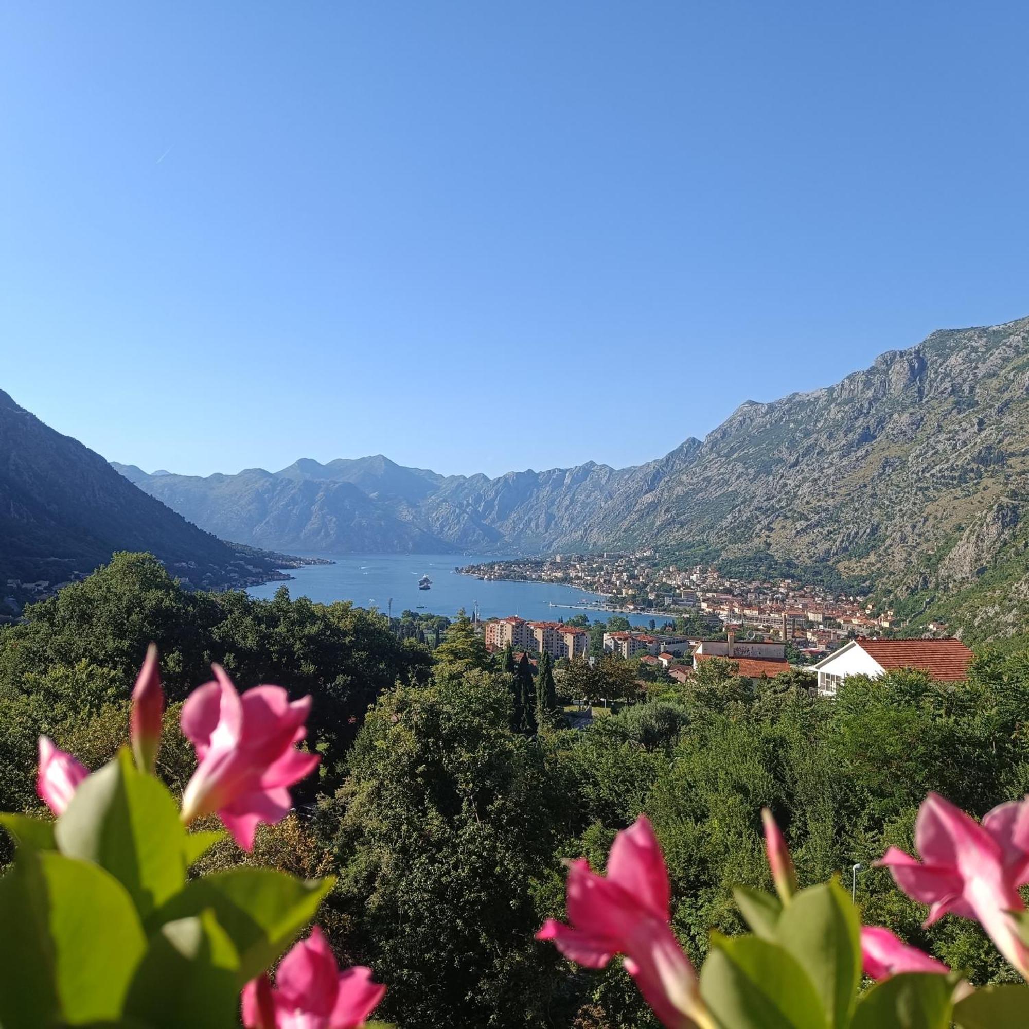 Radgost Kotor Apartments 외부 사진